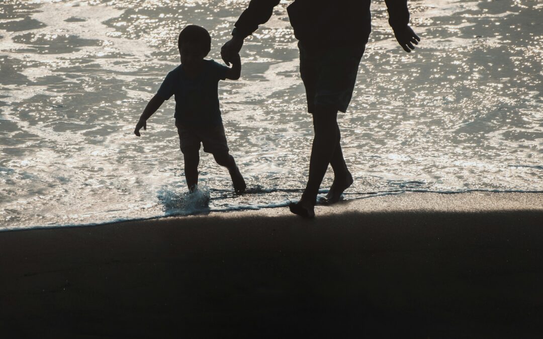 Forældrefremmedgørelse af fædre